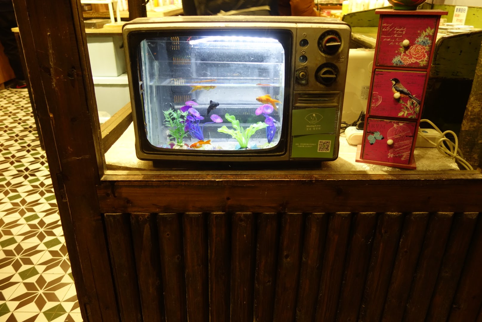 电视机里的小金鱼
